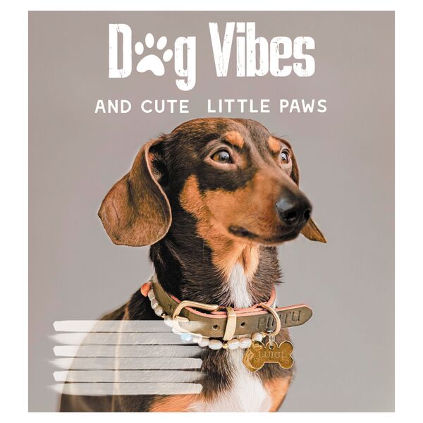 Зошит учнівський повноколірний 24 арк., лінія. Серія 231"Dog Vibes" Поліграфіст картинка 3