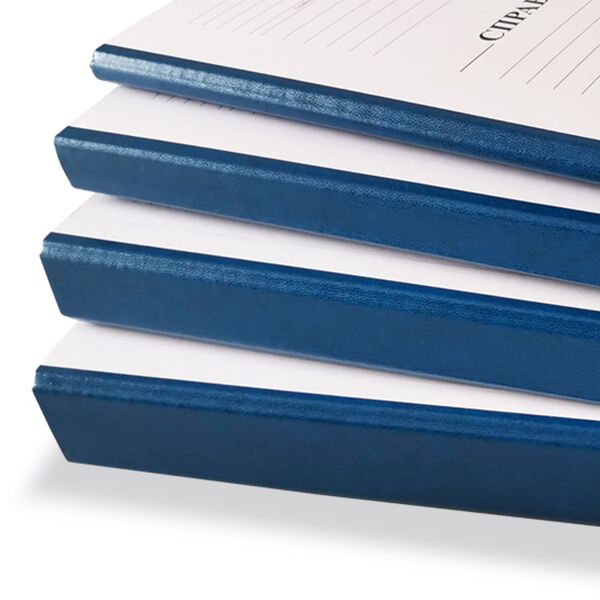 Папка-бокс архівна А4 корінець 20мм, з титулкою, баладек синій Поліграфіст картинка 4