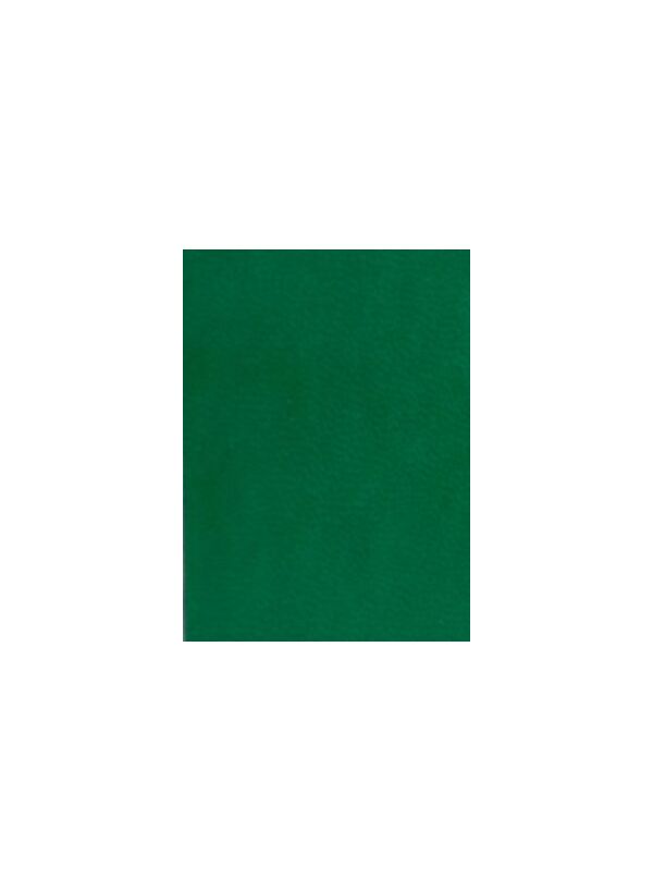 Палітурка тверда з поролоном штучна шкіра зелена Vivella 4747 для блоку ф. 145х202 176 аркушів Поліграфіст картинка 2