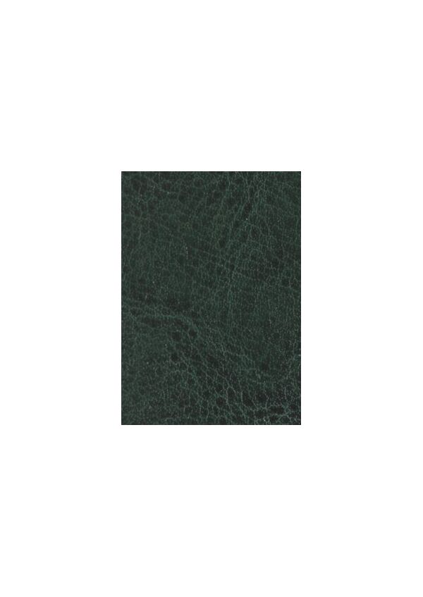Палітурка тверда з поролоном штучна шкіра зелена Cowhide 5204 для блоку ф. 145х202 176 аркушів Поліграфіст картинка 2