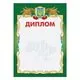 Диплом  16 02
