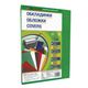 Обкладинка картонна А4 (100шт), зелена, 230г/м2