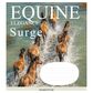 Зошит учнівський повноколірний загальний 48 арк., клітинка. Серія 219"Коні" Поліграфіст картинка 6